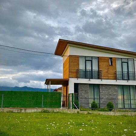 Cottage Marta Sadgeri Боржоми Экстерьер фото