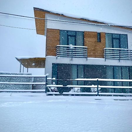 Cottage Marta Sadgeri Боржоми Экстерьер фото