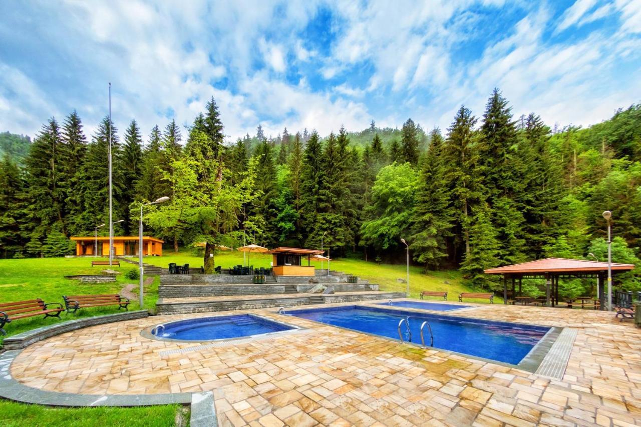 Cottage Marta Sadgeri Боржоми Экстерьер фото