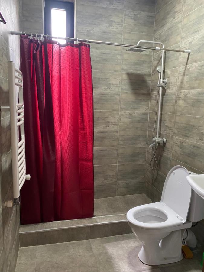 Cottage Marta Sadgeri Боржоми Экстерьер фото